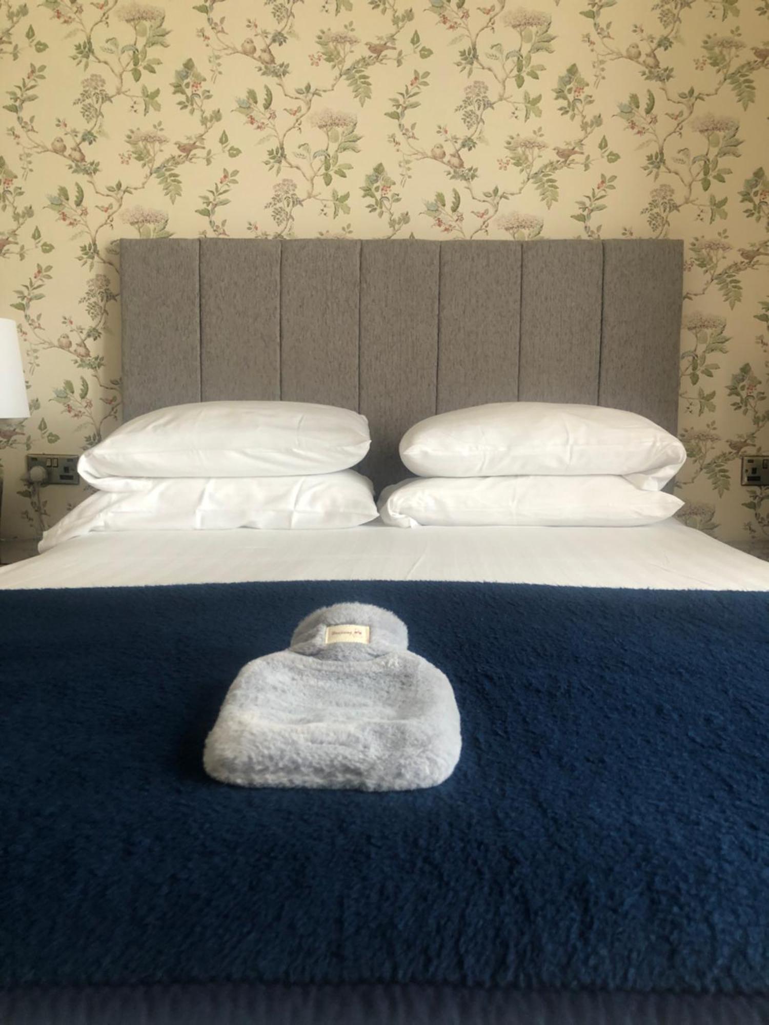 Helmsman Guesthouse Αμπερίστγουιθ Εξωτερικό φωτογραφία